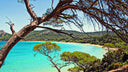 Sur quelle plage aller à Porquerolles ?
