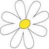 Marguerites de la marque de vêtement Natif