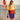 Poncho adulte Tsunami sur les plages de l'almanarre